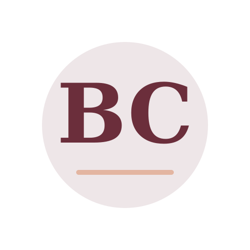 Brian Chimney Repair logo